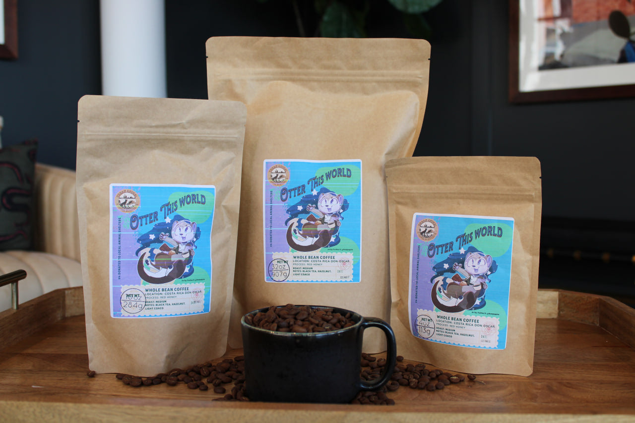Mystery Bag Coffee Subscription